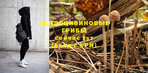 стаф Абаза