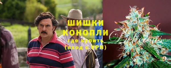 дурь Алексеевка