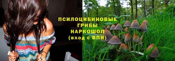 дурь Алексеевка