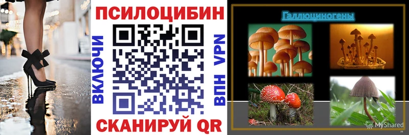Псилоцибиновые грибы Psilocybine cubensis  где можно купить наркотик  Кочубеевское 